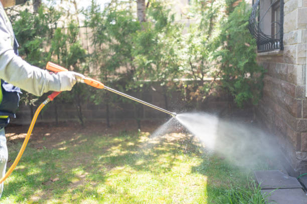 Wasp Removal Services in Oak Grove, SC