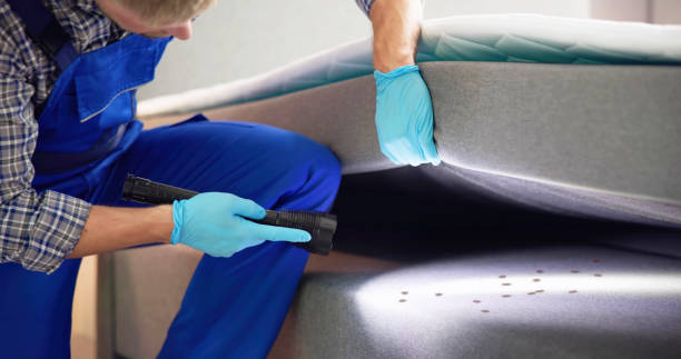 Best Flea Control Services  in Oak Grove, SC